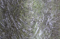 Inverarish fibreglass roof work